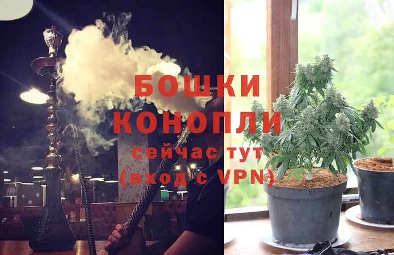 наркота  Торопец  omg зеркало  Бошки Шишки SATIVA & INDICA 